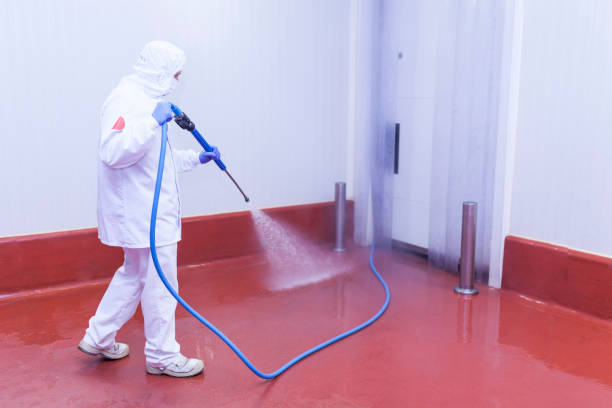 Best Residential Pressure Washing in Yorkville, NY